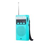 现货批发便携式W-208收音机可充电带手电FM/AM指针式口袋收音机 (含认证）