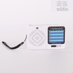厂家供应收音机w913全波段全频道便携式指针双模供电锂电池收音机 (含认证）