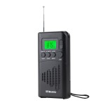 跨境w-202L升级版FM/AM便携式全波段迷你数字显示收音机厂家供应 （含认证）