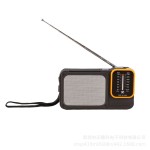 新款指针收音机w-916便携式充电款带阅读灯功能FM/AM两波段收音机 (含认证）