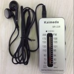 迷你两波段收音机sr228便携式无外放听耳机收音机调频FM调幅AM