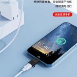 适用苹果转接头OTG转换器 无线领夹麦克风转接头Typec接口转IOS口