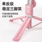 跨境B12抖音遥控器自拍杆双灯一体式三脚架桌面落地手机架可伸缩