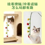 猫玩具番茄串逗猫棒耐咬柿子串猫咪玩具自嗨解闷神器带铃铛逗猫棒