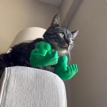 跨境 Cat muscle arm decoration 猫的浩克手臂猫咪肌肉手臂装饰