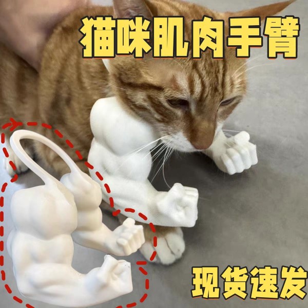 跨境 Cat muscle arm decoration 猫的浩克手臂猫咪肌肉手臂装饰