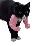 跨境 Cat muscle arm decoration 猫的浩克手臂猫咪肌肉手臂装饰