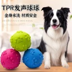 狗狗发声玩具磨牙耐咬狗玩具球解压训练狗狗互动训犬TPR宠物玩具