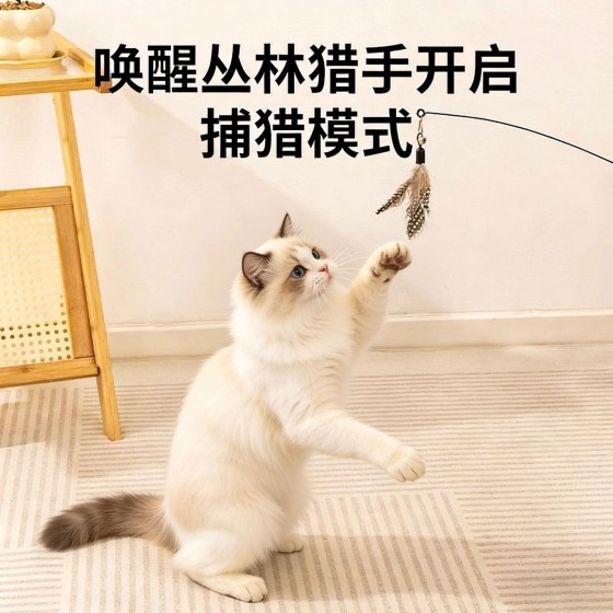CFA赛级木柄逗猫棒羽毛铃铛可拆卸替换头猫玩具耐用耐抓宠物玩具