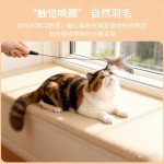 CFA赛级木柄逗猫棒羽毛铃铛可拆卸替换头猫玩具耐用耐抓宠物玩具
