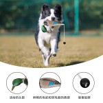 厂家现模EVA射出发泡宠物鸭耐咬诱饵狗狗玩具假鸭训练器