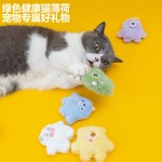 卡通小怪兽 猫薄荷猫玩具 磨牙洁齿耐咬解闷幼猫自嗨毛绒公仔玩具