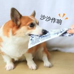 宠物狗狗玩具耐咬磨牙自嗨解闷发声报纸响纸玩具泰迪柯基玩具