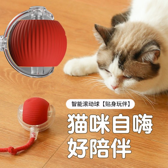 耐咬带绳自动逗猫球猫咪玩具球自嗨解闷神器宠物用品跳跳球