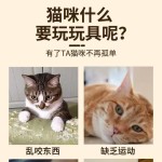 宠物猫猫玩具可旋转逗猫棒吸盘自嗨解闷神器猫咪逗猫棒幼猫用品