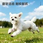 宠物狗狗玩具自嗨解闷磨牙漏食球耐咬小狗猫咪藏食发光玩具西瓜球