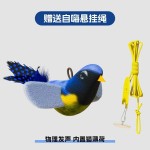 猫玩具仿真叫叫鸟发声逗猫棒幼猫自嗨解闷耐抓现货批发一件代发
