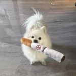 宠物毛绒发声玩具耐咬玩具亚马逊爆款狗狗香烟胡萝卜鸡腿毛绒玩具