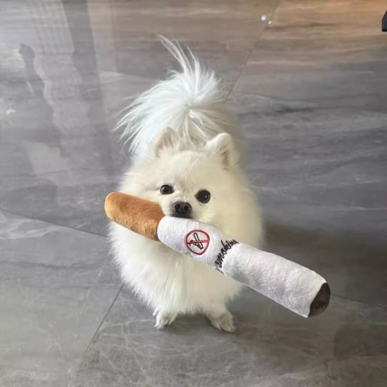 宠物毛绒发声玩具耐咬玩具亚马逊爆款狗狗香烟胡萝卜鸡腿毛绒玩具