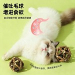 猫咪玩具薄荷球玲珑球木天蓼球啃咬磨牙逗猫棒幼猫用品宠物玩具