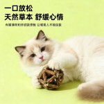 猫咪玩具薄荷球玲珑球木天蓼球啃咬磨牙逗猫棒幼猫用品宠物玩具