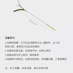 猫玩具逗猫棒狗尾巴草手持长杆耐咬自嗨解闷神器小猫玩具猫咪用品