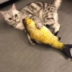宠物猫薄荷玩具猫咪玩具逗猫麻布鱼猫薄荷鱼猫玩具