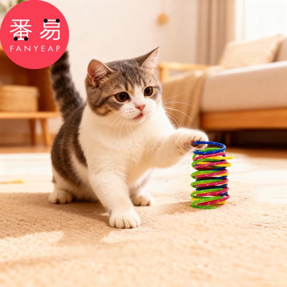 包邮/宠物玩具/弹簧A1v-宠物猫咪弹簧小玩具彩色逗猫解闷小猫玩具
