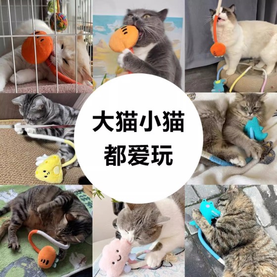 猫玩咪具自嗨解闷咬咬绳磨牙耐咬逗猫棒小猫猫玩具猫咪用品磨牙棒