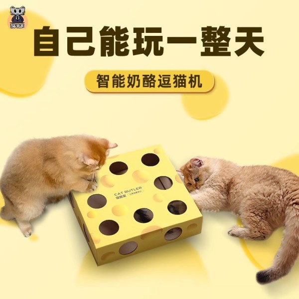猫管家宠物奶酪盒玩具猫咪玩具自嗨解闷电动逗猫棒打地鼠猫玩具