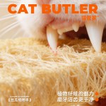 丝瓜络宠物猫咪玩具自嗨解闷猫玩具磨牙洁齿逗猫棒小猫咪磨牙玩具