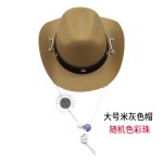 宠物玩具牛仔帽猫狗可爱萌宠迷你彩珠小帽子节日派对礼品宠物帽子