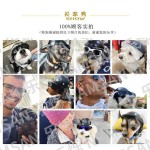 宠物头盔新款机车安全帽狗狗猫咪配饰宠物玩具帽子头饰厂家直销