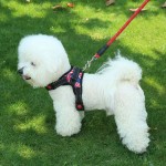 狗狗牵引绳背心式胸背带大型犬遛狗拉布拉多狗链狗绳中型犬比熊 (有码数）