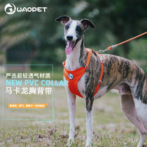 WAOPET新款无包边胸背带马卡龙狗绳小狗狗项圈牵引绳布质宠物用品 (有码数）