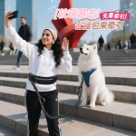 工厂直销宠物运动腰包跑步多功能狗狗牵引绳防爆冲可伸缩免提狗绳