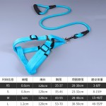 狗狗牵引绳中小型幼犬泰迪狗绳狗链子可调节背心胸背带幼犬专用 (有码数）