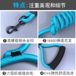 狗狗牵引绳中小型幼犬泰迪狗绳狗链子可调节背心胸背带幼犬专用 (有码数）
