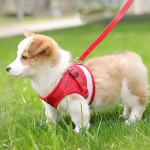 背心式狗狗牵引绳中小型犬猫咪牵引绳柯基背带防挣脱狗链子遛狗绳 (有码数）