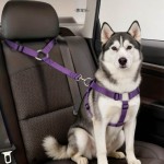 狗狗汽车可调试安全带车载宠物牵引绳汽车安全绳二合一外出狗绳