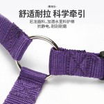 狗狗汽车可调试安全带车载宠物牵引绳汽车安全绳二合一外出狗绳