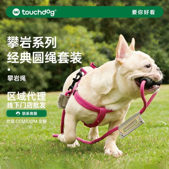 它它狗狗牵引绳胸背遛狗绳 (有码数）