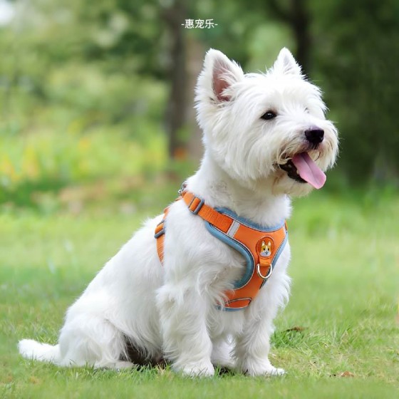 鹿皮绒背心式狗狗牵引绳小型犬泰迪比熊博美胸背带小狗幼犬遛狗绳 (有码数）