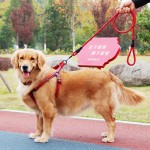 狗狗牵引绳遛狗绳子仿尼龙反光大中小型犬宠物脖套带项圈攀岩绳 (有码数）