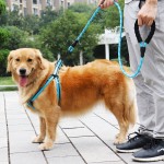 狗狗牵引绳遛狗绳子仿尼龙反光大中小型犬宠物脖套带项圈攀岩绳 (有码数）