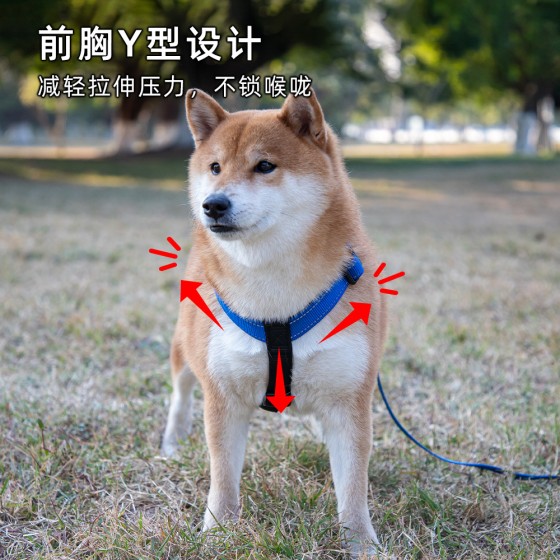 亚马逊狗狗牵引绳背心式H型胸背带小中大型犬宠物外出遛狗绳用品（有码数）