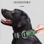 跨境新款亚马逊狗狗项圈牵引绳中大型犬专用防爆冲颈圈脖圈金熊猫