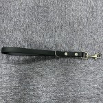 现货热销防水PVC银扣 30cm 长短牵引狗狗宠物牵引绳防水易清洁