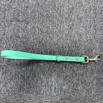现货热销防水PVC银扣 30cm 长短牵引狗狗宠物牵引绳防水易清洁