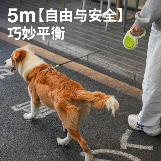 亚马逊爆款宠物狗泰迪自动伸缩牵引绳猫咪狗狗牵引带3m户外遛狗绳